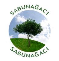 sabunagaci kucuk