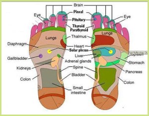 512px-foot_vital_point_refrexology