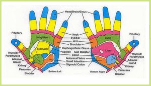 512px-hand_vital_point_reflexology